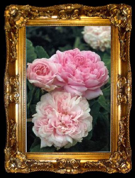 framed  unknow artist Still life floral, all kinds of reality flowers oil painting  376, ta009-2
